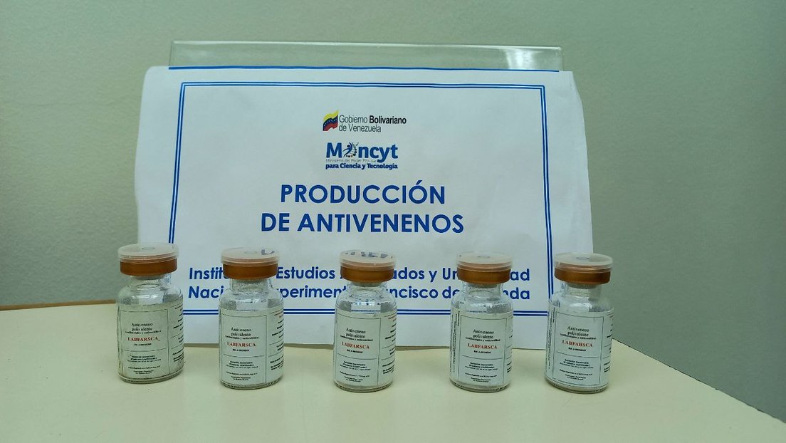 Samples of antivenoms. Photo: Nathali Gómez