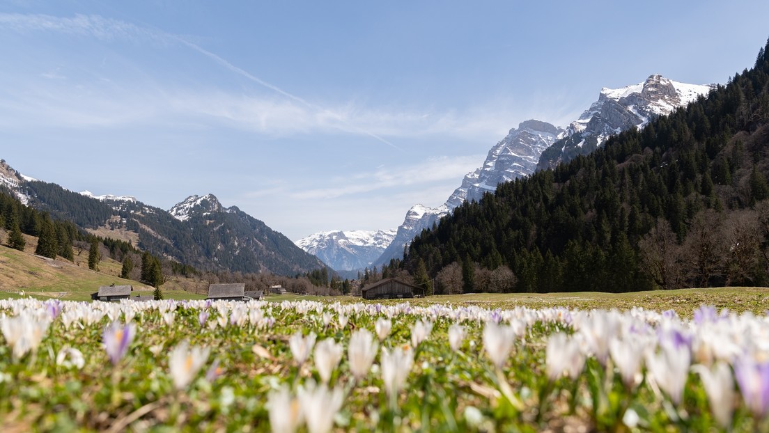 El calentamiento global está convirtiendo en verdes a los Alpes blancos, advierte un estudio