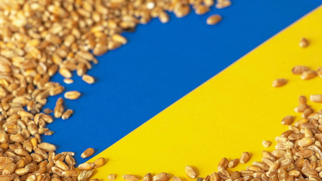 "Ningún grano va a ninguna parte para nadie": Ucrania pone sus condiciones para reanudar las exportaciones de trigo