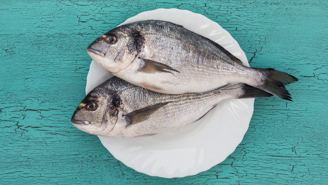 Un estudio asocia un alto consumo de pescado con mayores riesgos de melanoma maligno