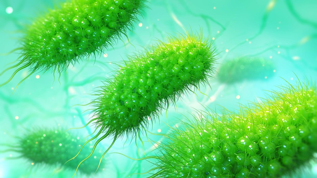 Científicos descubren que los virus pueden sobrevivir en agua dulce "haciendo autoestop" en microplásticos