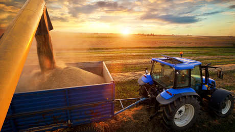 ¿Una crisis alimentaria "artificial"?: Blinken acusa a Rusia de "chantajear" con el grano ucraniano y Moscú pide desminar los puertos