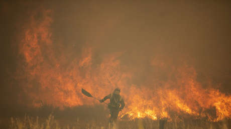 Un incendio forestal en Sierra de la Culebra es ya uno de los peores del siglo XXI en España