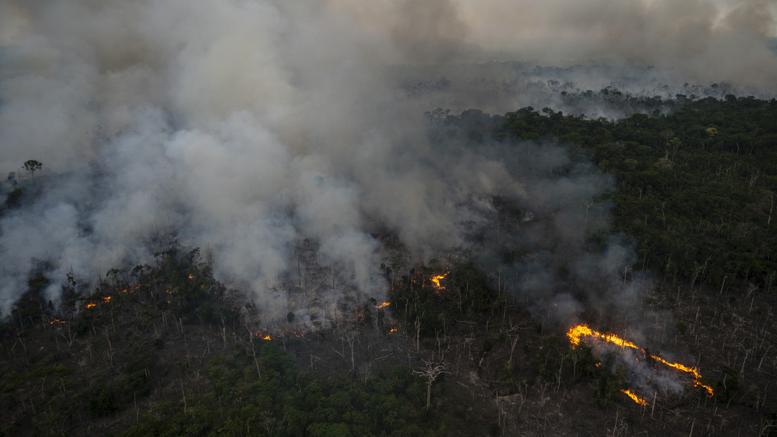 La Amazonía brasileña registró en junio el mayor número de incendios de los últimos 15 años