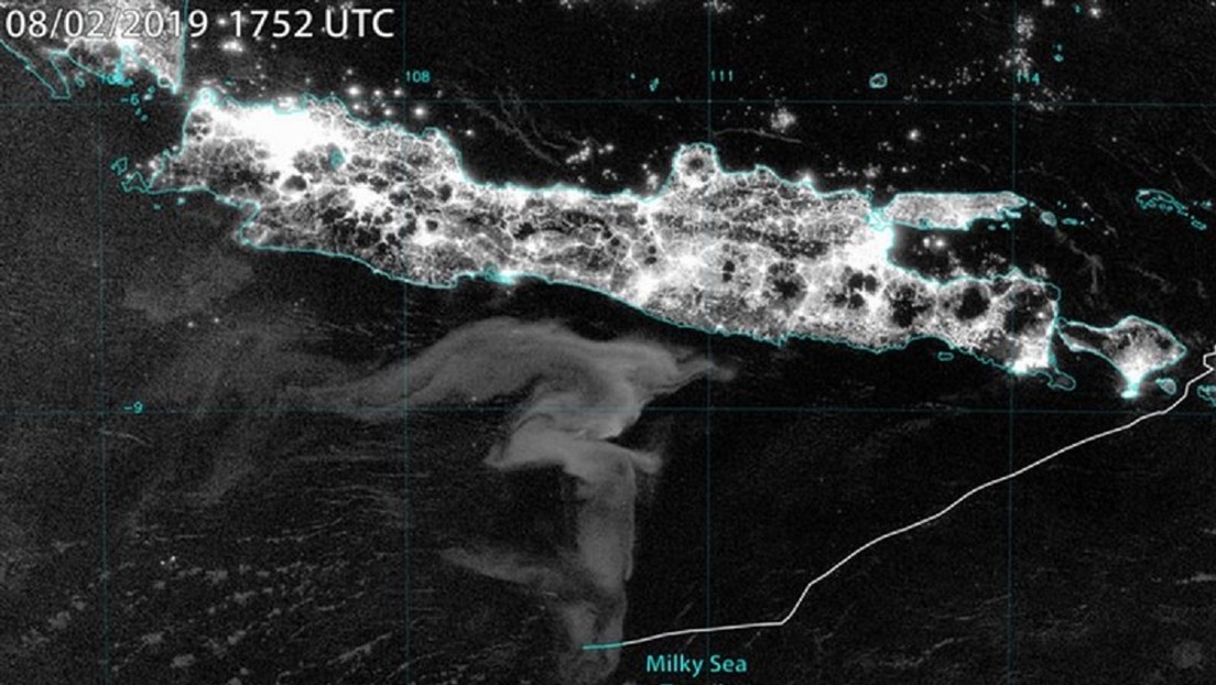 Confirman la autenticidad de las primeras imágenes de un extraño fenómeno bioluminoso conocido como 'mar lechoso'