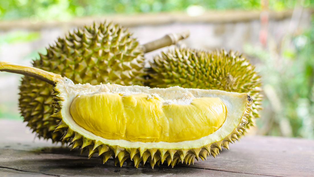 Tailandia presenta una nueva variedad 'no apestosa' de la controvertida fruta durián