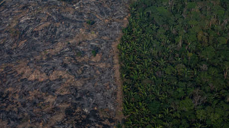 La Amazonía brasileña registra una deforestación récord en el primer semestre del año