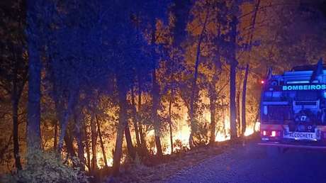 Decenas de heridos y cerca de 2.500 hectáreas quemadas: los incendios forestales asedian Portugal en medio de una ola de calor abrasador
