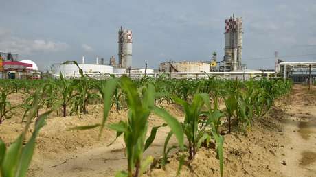 "Sin maíz, no hay país": López Obrador supervisa la rehabilitación de plantas de fertilizantes que beneficiarán a 2 millones de productores mexicanos