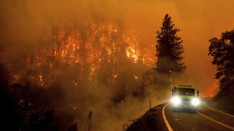 Incendios forestales arrasan con rapidez un bosque nacional en California (VIDEO)