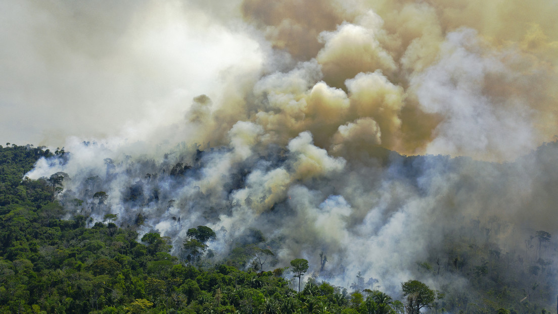 La Amazonía brasileña registró 5.373 incendios forestales en julio (y rompió el récord del año pasado)