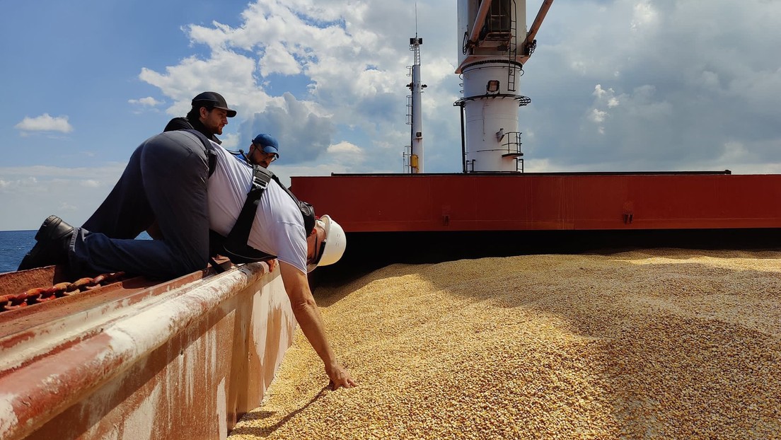 Concluye en Turquía la inspección del primer barco con grano ucraniano (FOTOS)