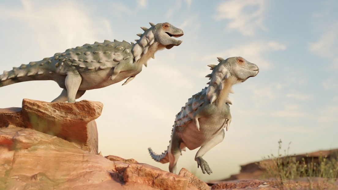 Descubren en Sudamérica una nueva especie de dinosaurios bípedos y acorazados