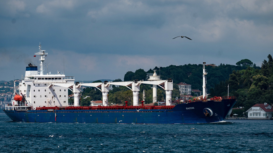El primer barco con carga de granos que partió de Ucrania atraca en Siria (IMAGEN)