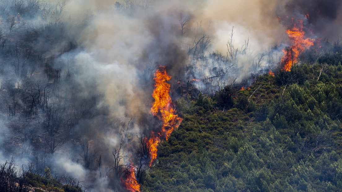 Los incendios en la UE destruyeron un récord de 700.000 hectáreas de bosques este año