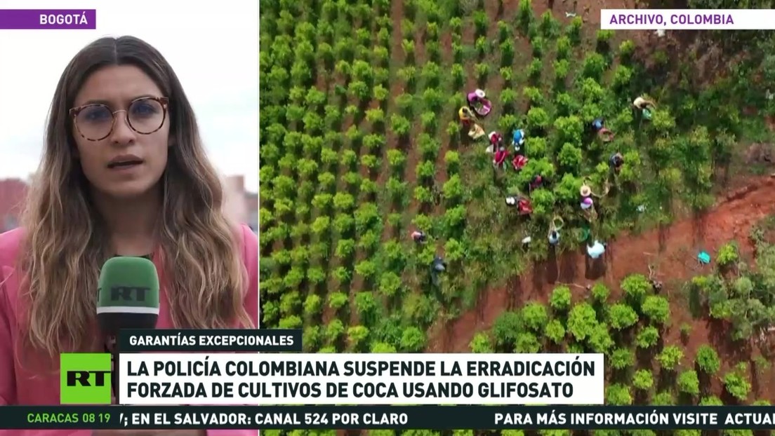 La Policía colombiana suspende la erradicación forzada de cultivos de coca utilizando glifosato