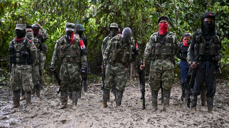 "No vamos a condicionar los diálogos": Jefe de la delegación del Gobierno colombiano habla sobre las negociaciones con el ELN