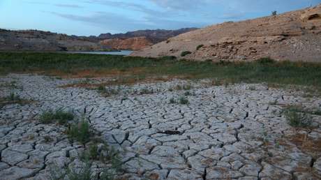 Las extremas medidas que adoptan en Europa y EE.UU. para afrontar la sequía