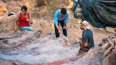 Un hombre descubre en el patio de su casa en Portugal lo que podría ser el dinosaurio más grande encontrado en Europa