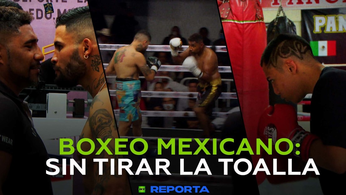 Boxeo mexicano: sin tirar la toalla
