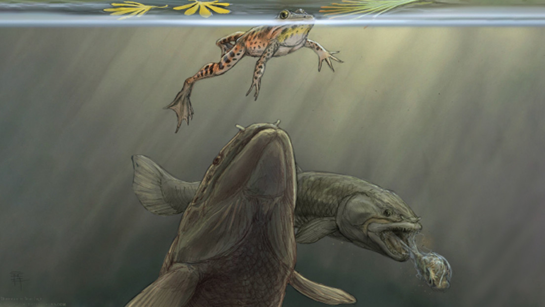 Paleontólogos descubren vómito fosilizado de un antiguo depredador del Jurásico