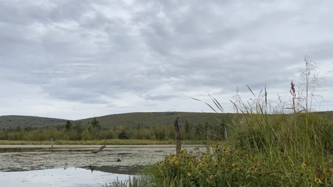 Un lago formado hace 50 años en Alaska está emitiendo altos niveles de metano