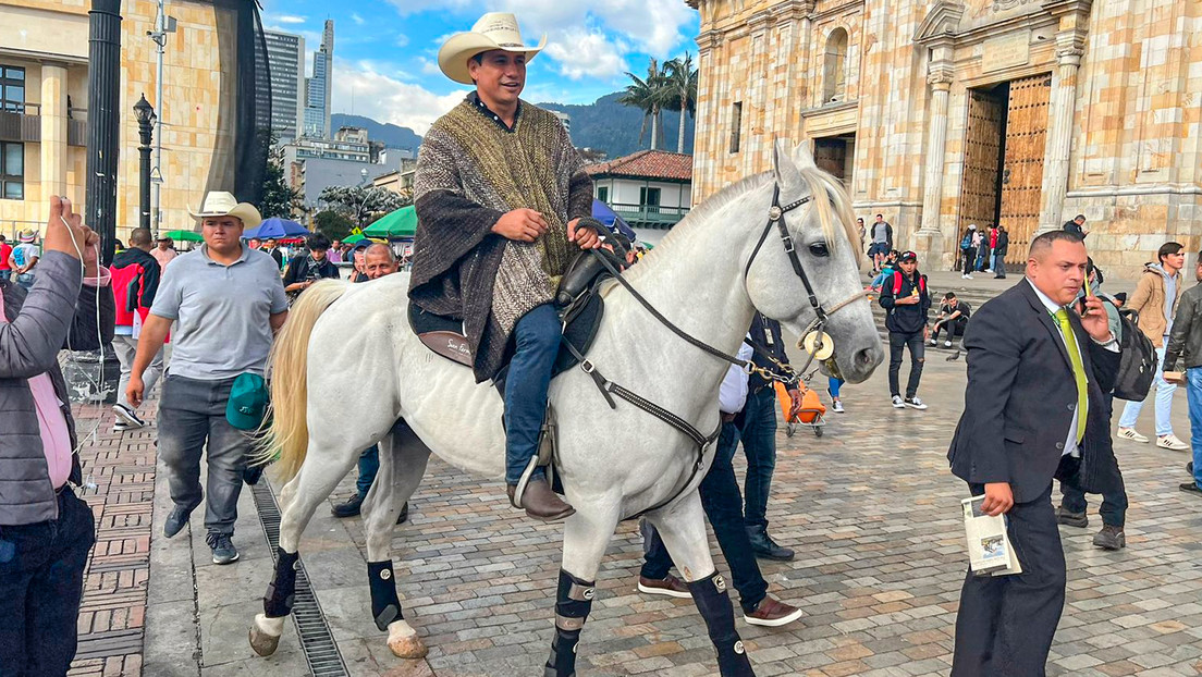 VIDEOS: Un senador de Colombia lleva su caballo al Congreso tras declararse la cámara un espacio amigable con las mascotas