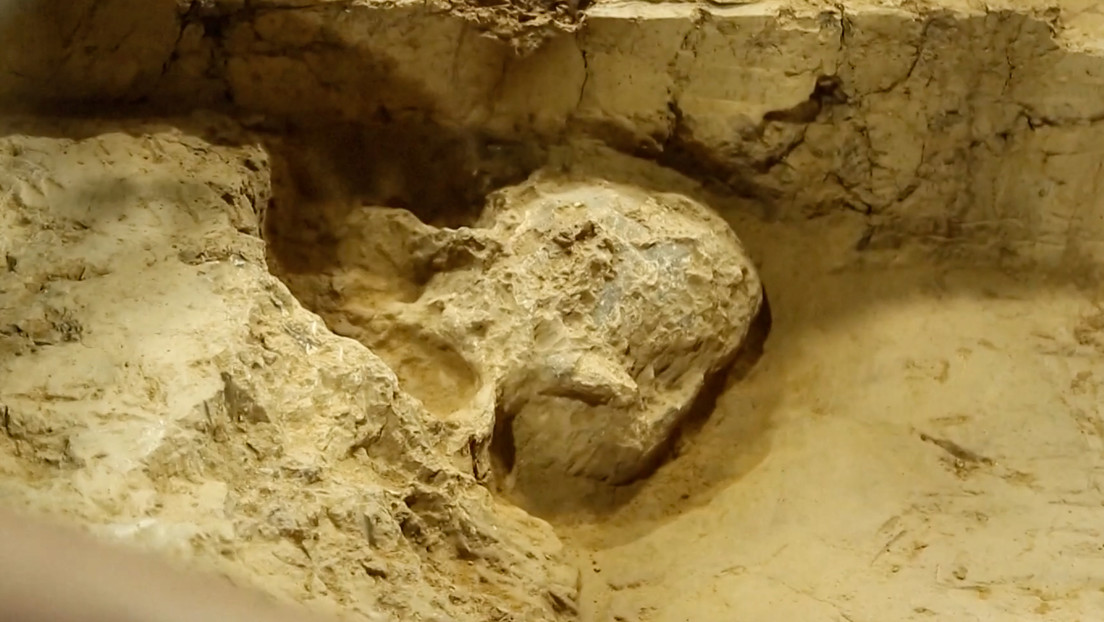 Encuentran un cráneo humano de casi un millón de años en China