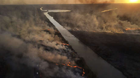 Ciudades cubiertas de humo que impide respirar: los incendios intencionales agravan la crisis ambiental en Argentina (FOTOS, VIDEOS)