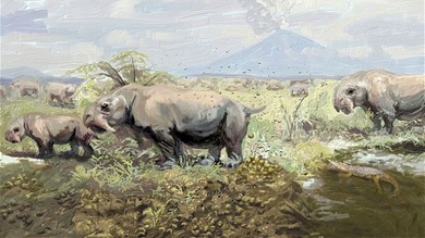 Hallan en Argentina el 'aseo jurásico' gigante más antiguo del mundo