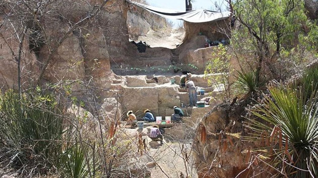 Hallan huellas de fauna y hombres prehistóricos en México