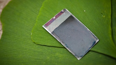 La primera ‘hoja artificial’ funcional del mundo ha adquirido una propiedad crucial