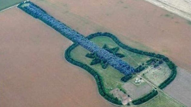 Lugares más asombrosos en Google Map: el 'bosque guitarra' de Argentina