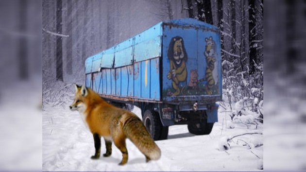Policías rusos salvan animales dejados en pleno campo en la helada
