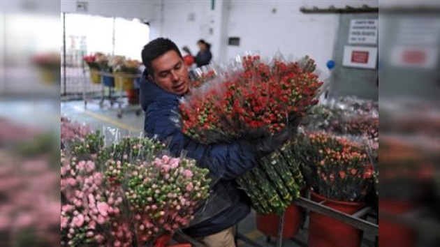 Las flores colombianas conquistan los mercados mundiales