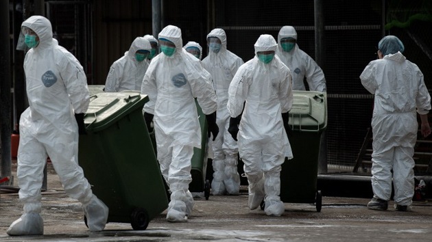 Alertan de una potencial pandemia por nueva cepa de gripe aviar