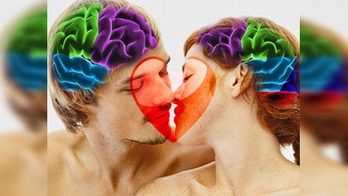 En el amor no manda el corazón, sino el cerebro