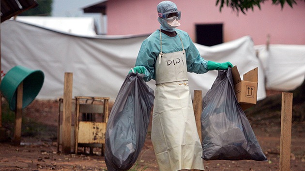 Marburgo, ¿el virus 'gemelo' del ébola?