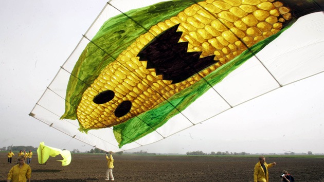Los 10 temores sobre OGM incómodos para la industria alimentaria