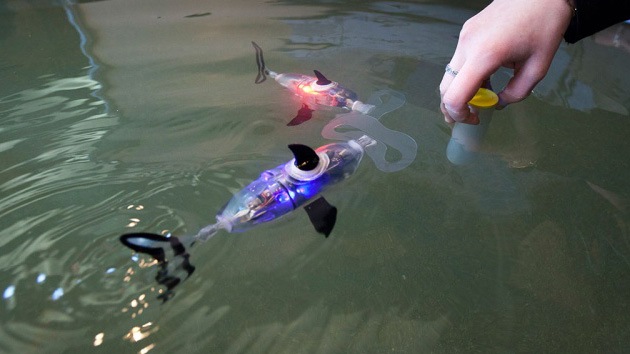 Científicos rusos desarrollan un pez robótico con fines militares