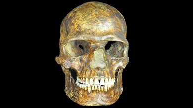 Descubren una antigua población humana desconocida