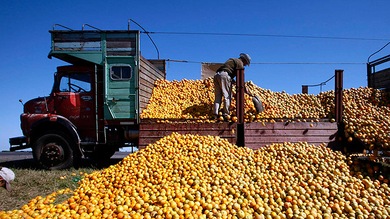 "América Latina no renunciará a aumentar exportaciones a Rusia"