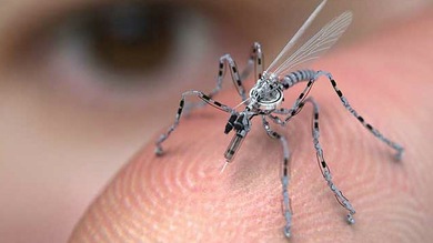 Con la mosca y el drone en la oreja