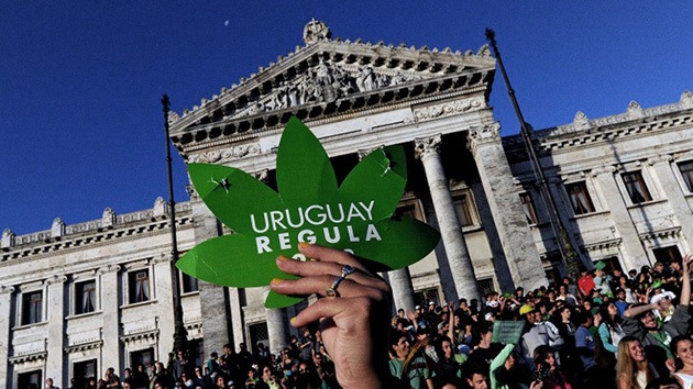 Arrancan cursos para cultivar marihuana en Uruguay