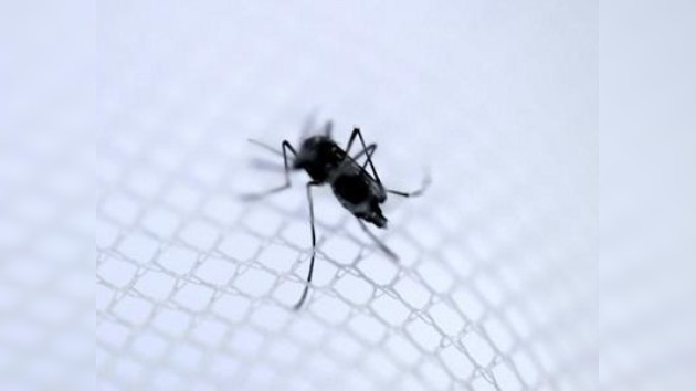 El dengue se extiende por los países de América Latina