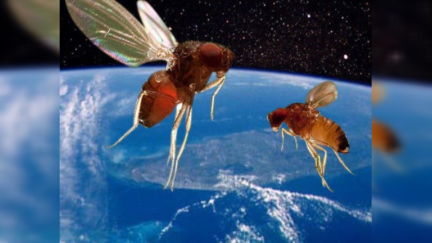 La Progress M -10M lleva moscas al espacio