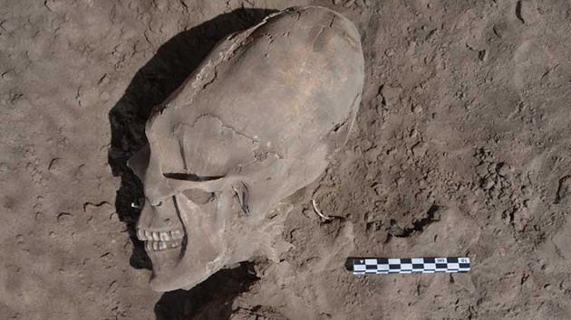 Fotos: Descubren en México un cementerio con cráneos alargados