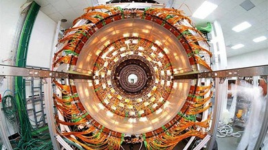 Los físicos calculan la masa exacta de la partícula elemental más pesada