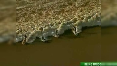 El río Severn es surfeado por atrevidos surfistas