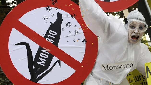 ¿Carta blanca a Monsanto?: El control de cultivos transgénicos en tela de juicio
